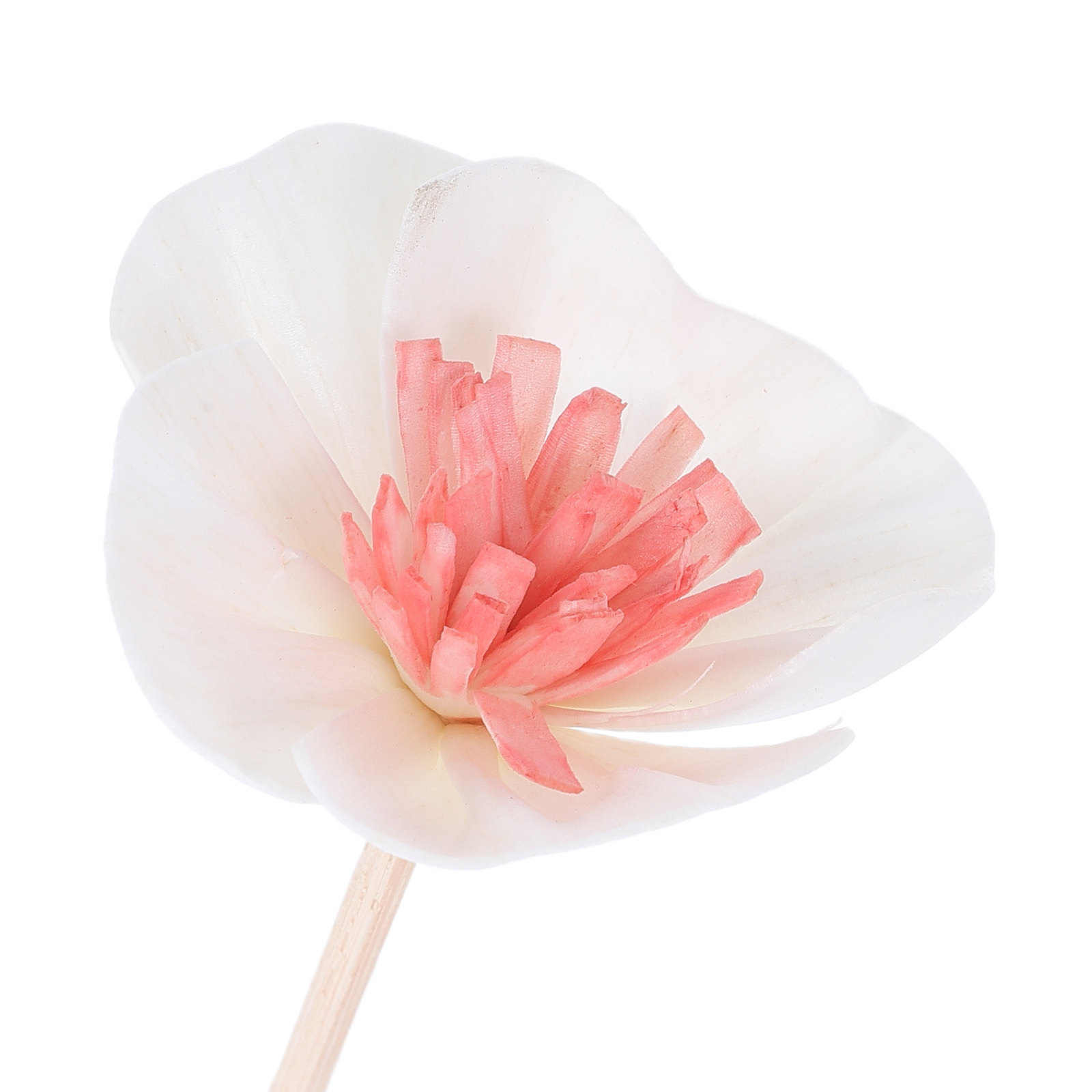 10 szt. Czarnych Włókienek do  – Home Fragrance Oil Diffuser recenzja i cena
